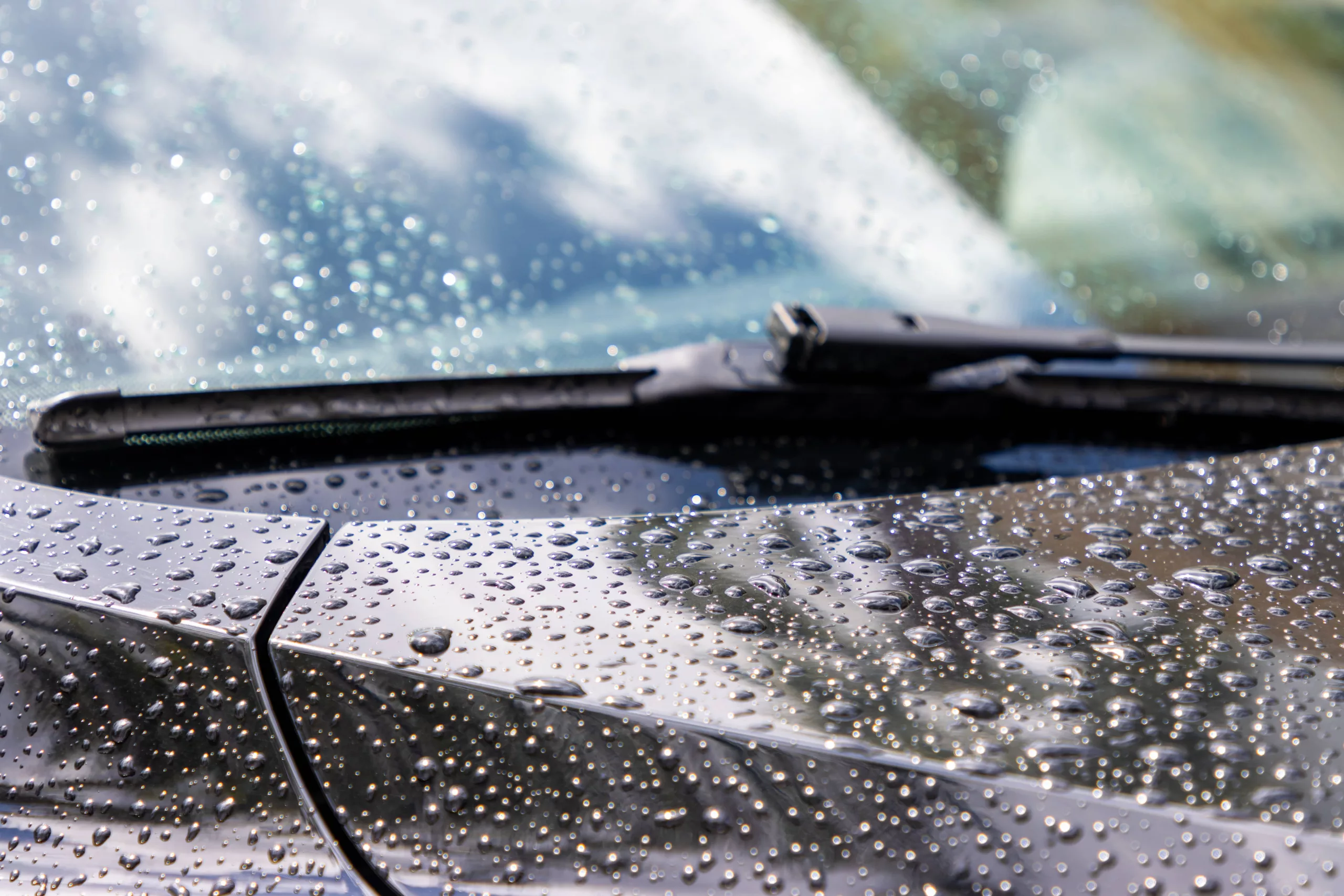 Rain drops on car windshield.